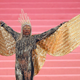 Billy Porter attends The 2019 Met Gala Celebrating Camp: Notes on Fashion on May 06, 2019 in New York City.